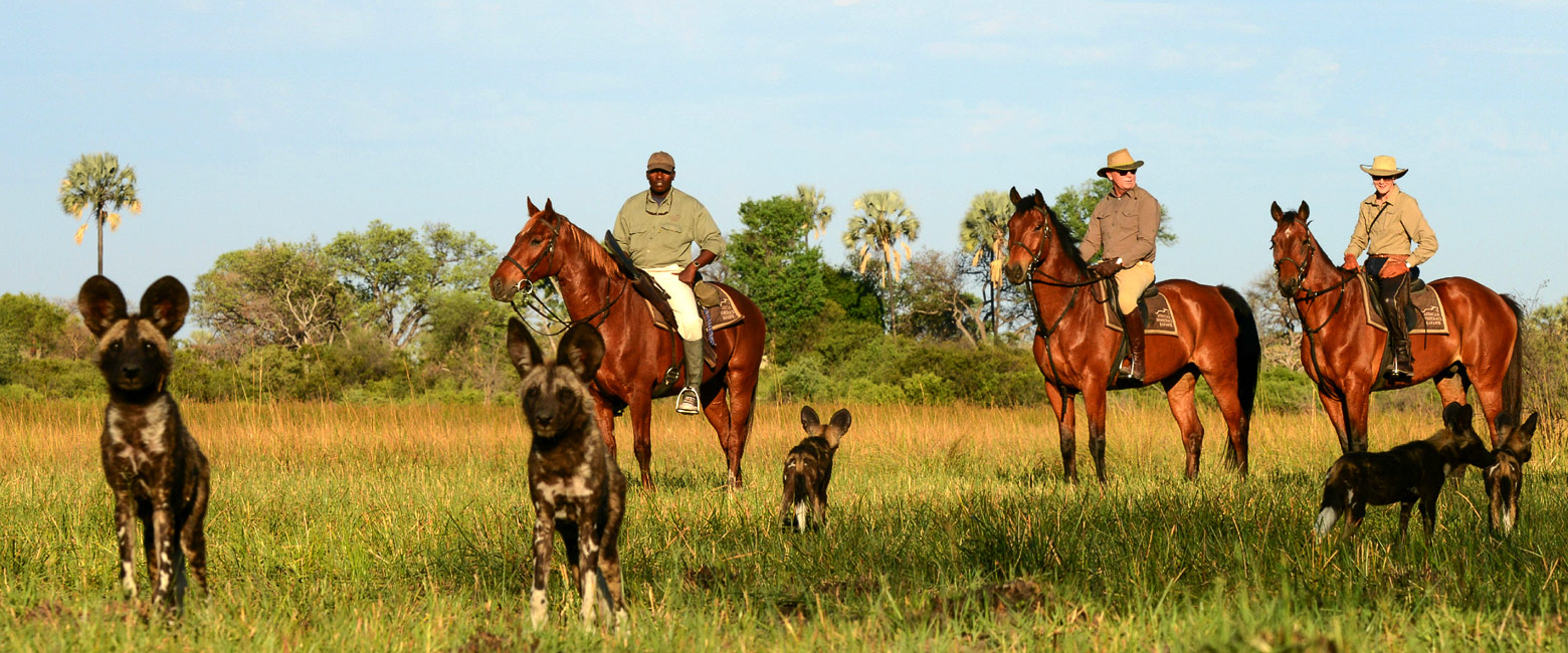 let us know your thoughts about Botswana and we will help you create the perfect safari