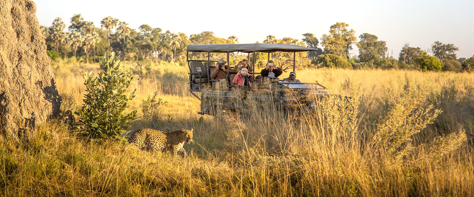 is an unusually wildlife-focused property in the fabulous Okavango Delta 