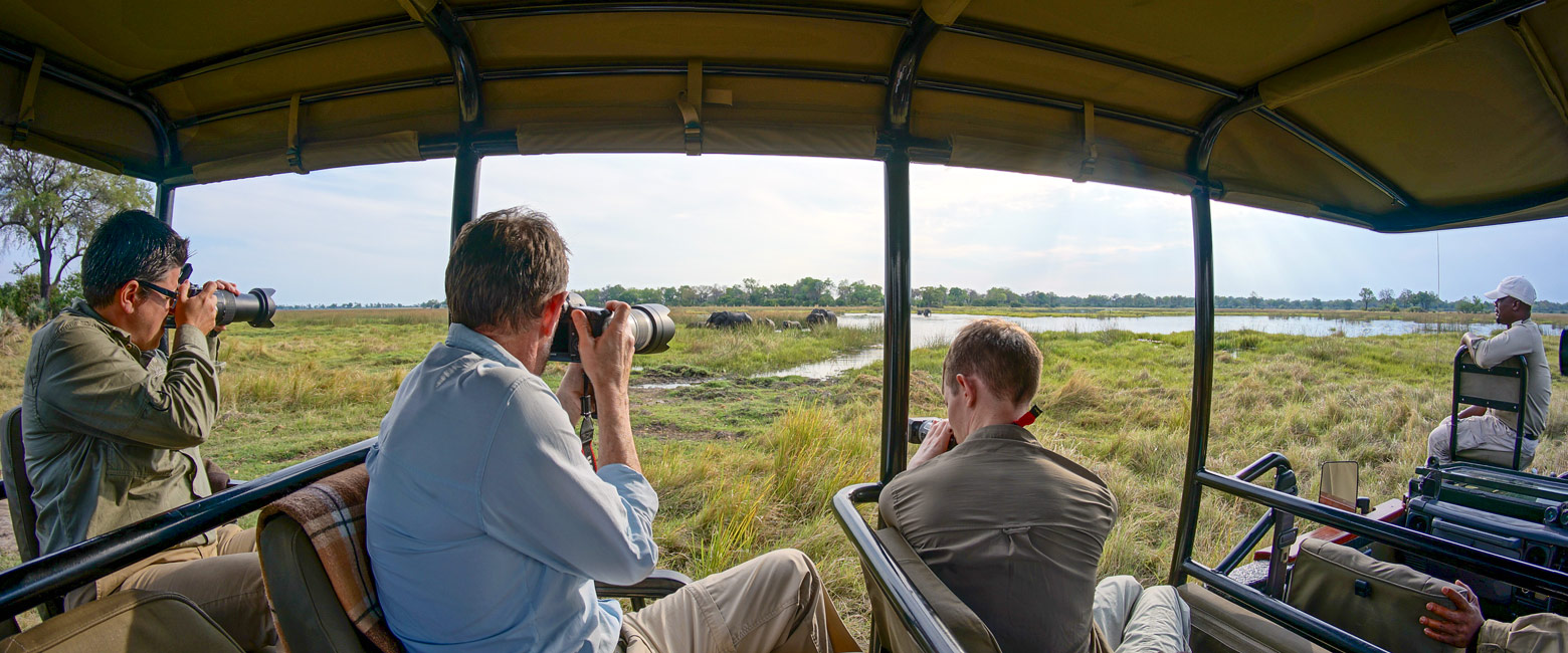 let us know your thoughts about Botswana and we will help you create the perfect safari
