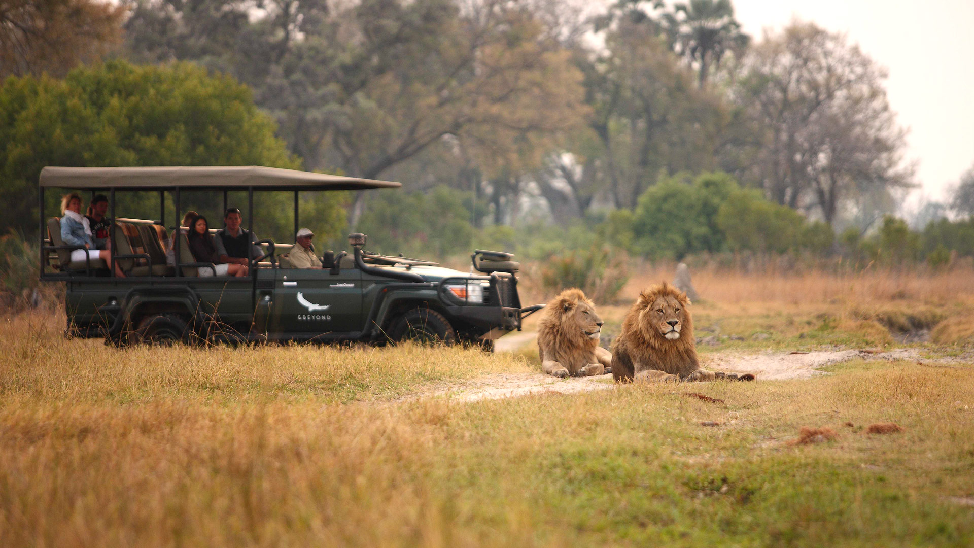 Sandibe Under Canvas