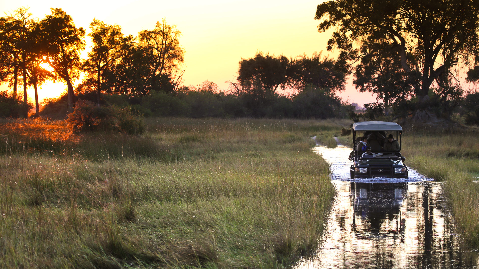 Travel to the Okavango Duba Plains