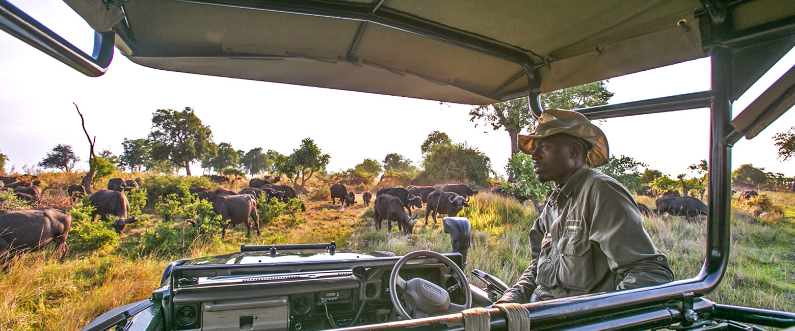let us know your thoughts about Botswana and we will help you create the perfect safari 