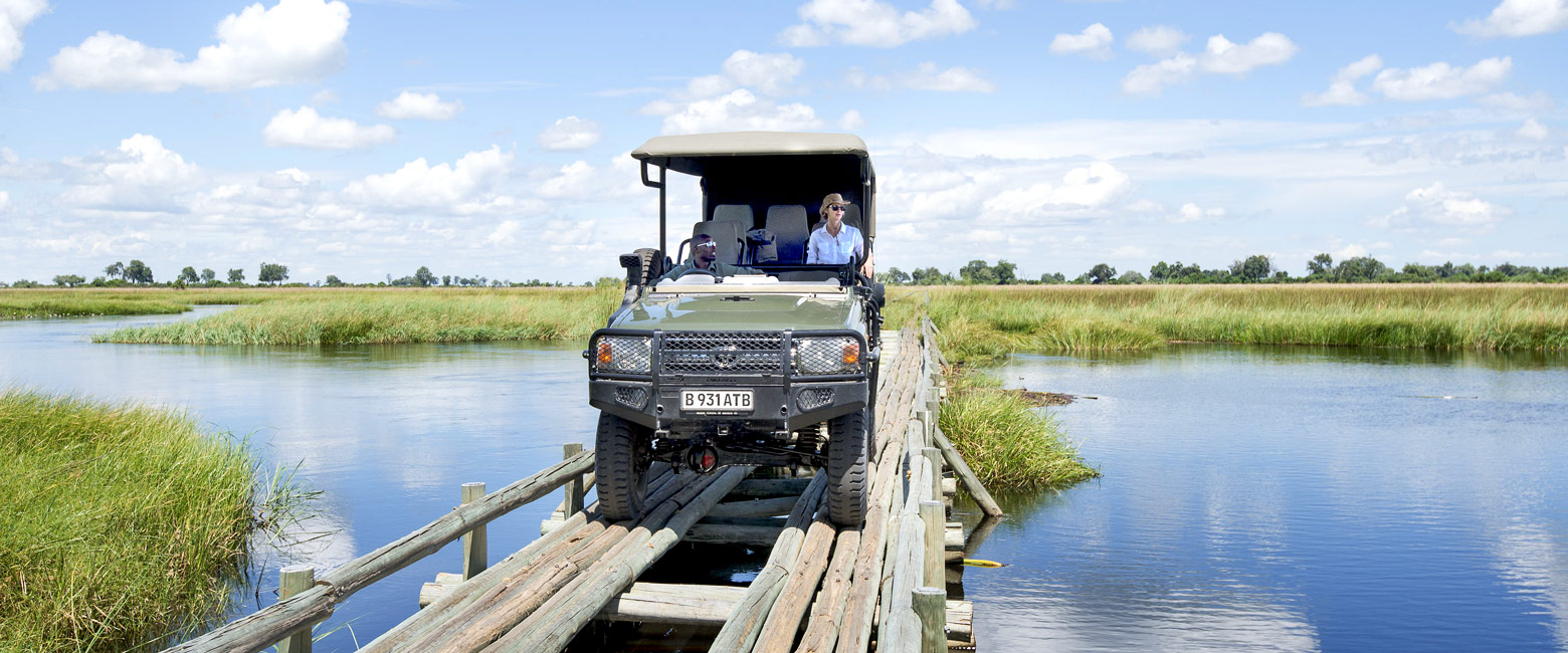 let us know your thoughts about Botswana and we will help you create the perfect safari 
