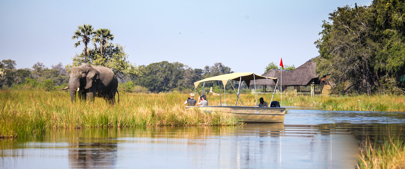 let us know your thoughts about Botswana and we will help you create the perfect safari 