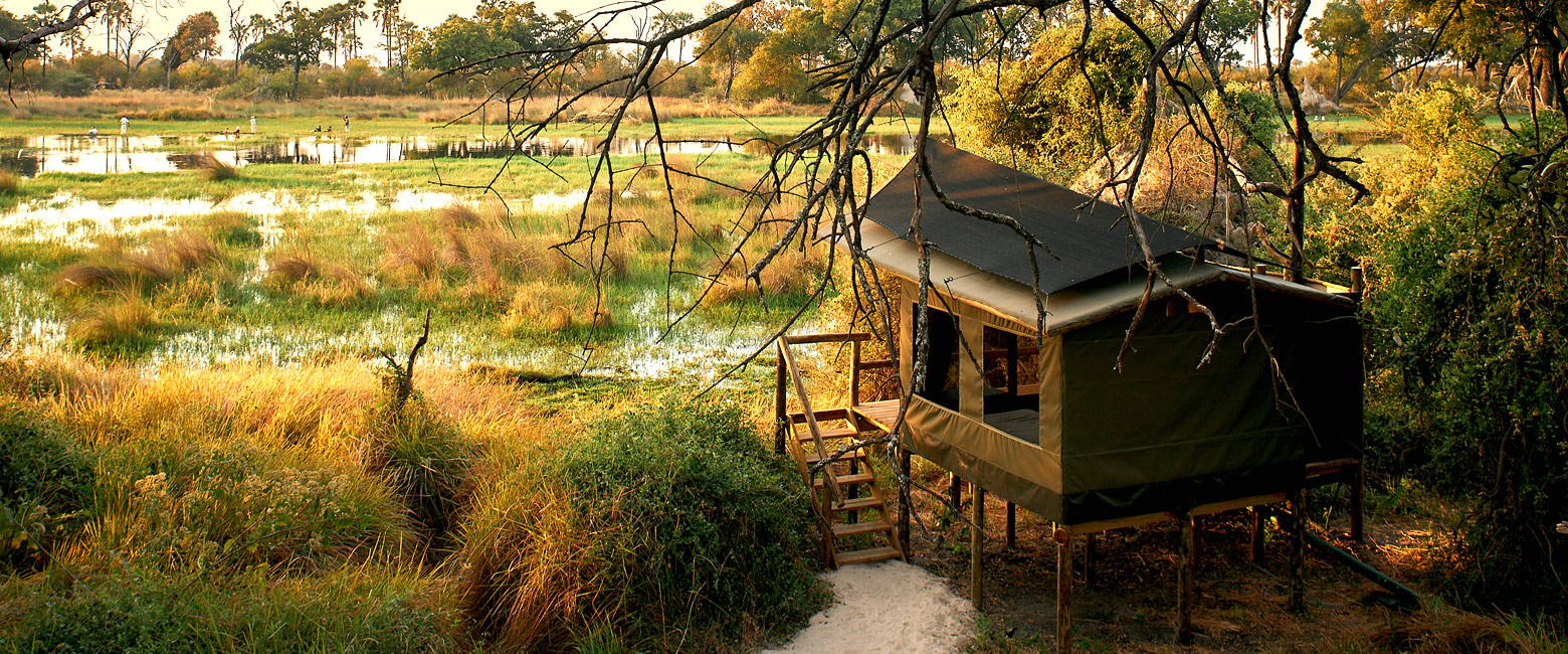 is a quirky lower-cost base in the fabulous Okavango Delta 