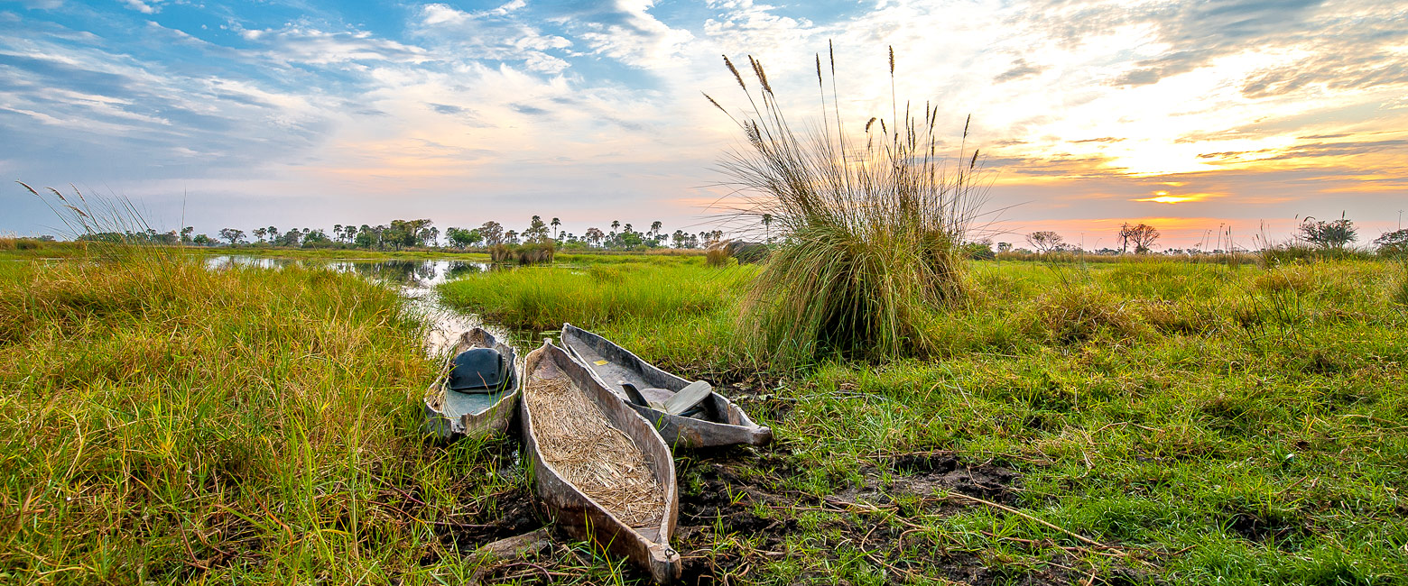 let us know your thoughts about Botswana and we will make sure to deliver the perfect safari 