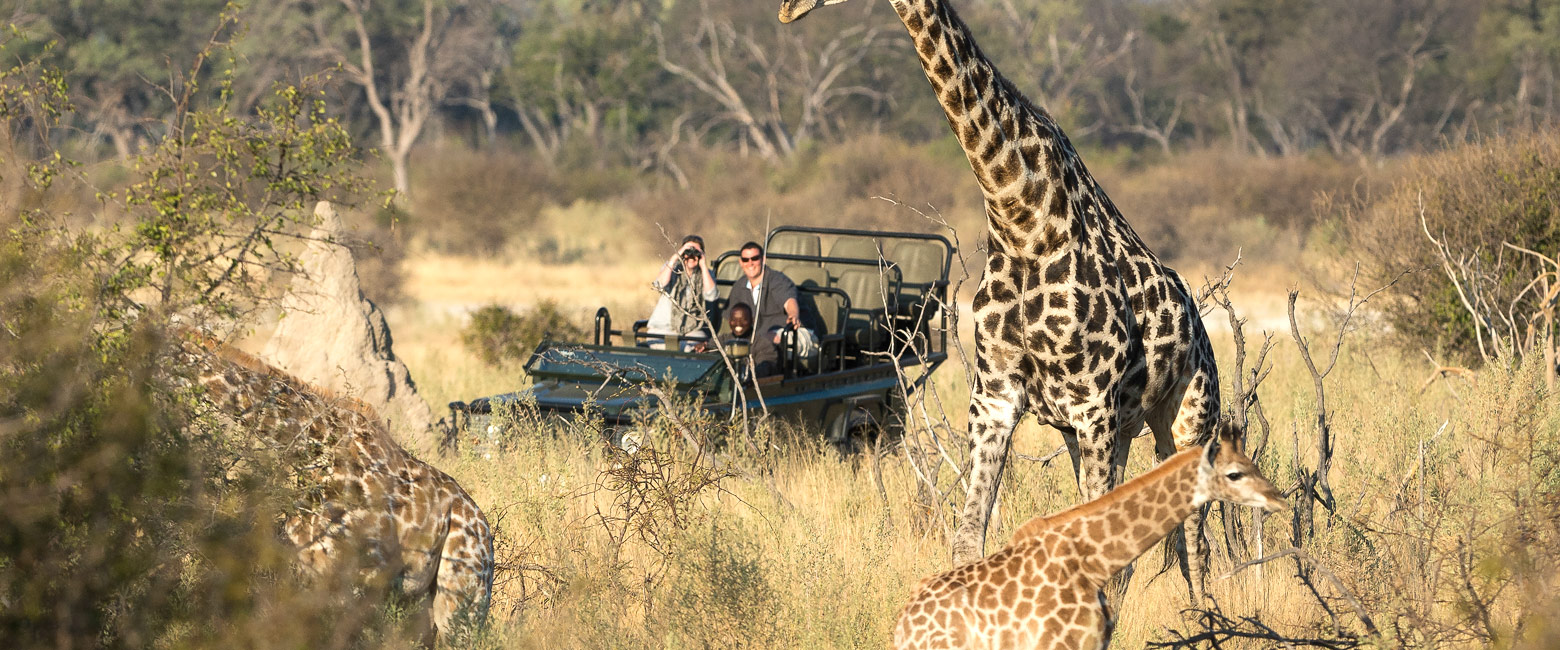 is an extremely scenic area with a handful of premium-priced camps 