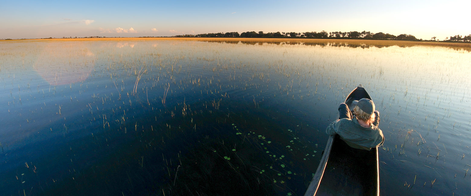 let us know your thoughts about Botswana and we will help you create the perfect safari 