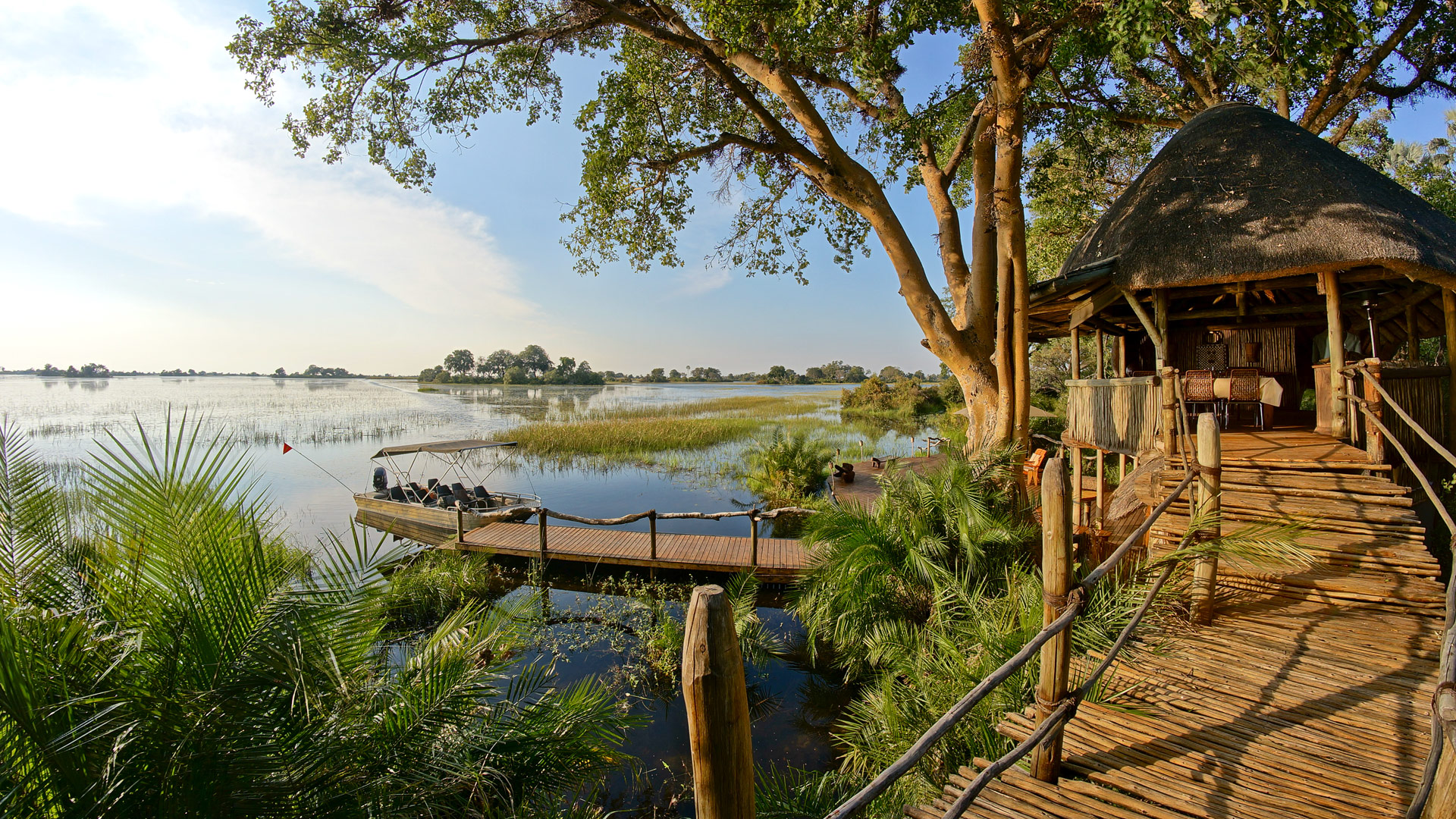 Jacana Camp