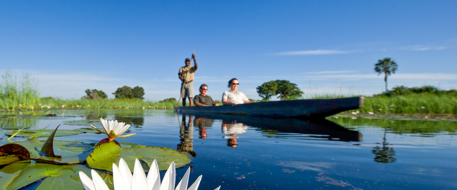 let us know your thoughts about Botswana and we will help you create the perfect safari