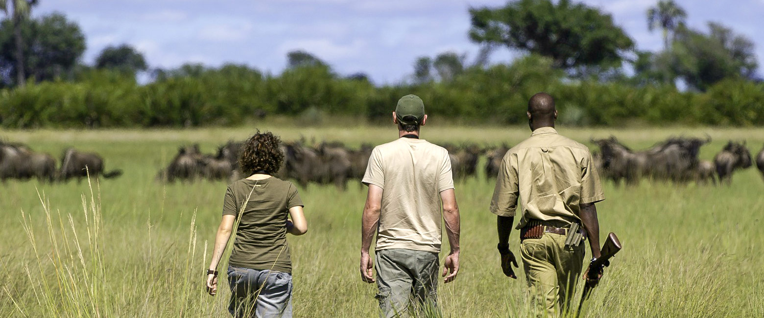 let us know your thoughts about Botswana and we will help you create the perfect safari 