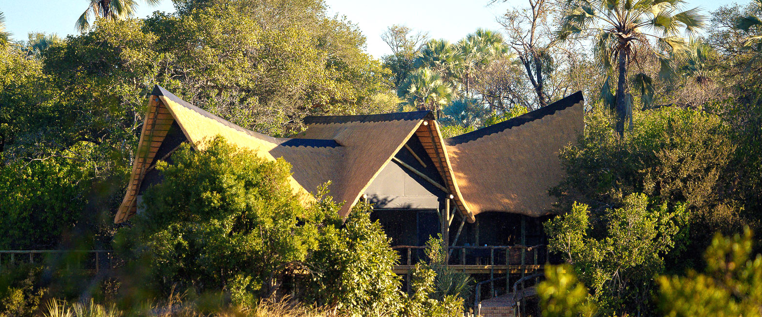 let us know your thoughts about Botswana and we will help you create the perfect safari 