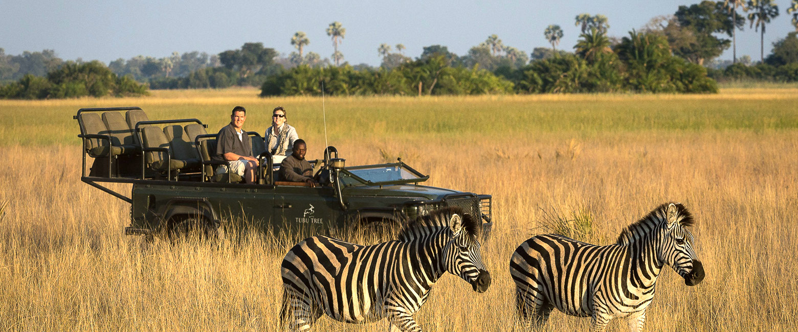 is a very high quality lodge in a prime area of the Okavango Delta 