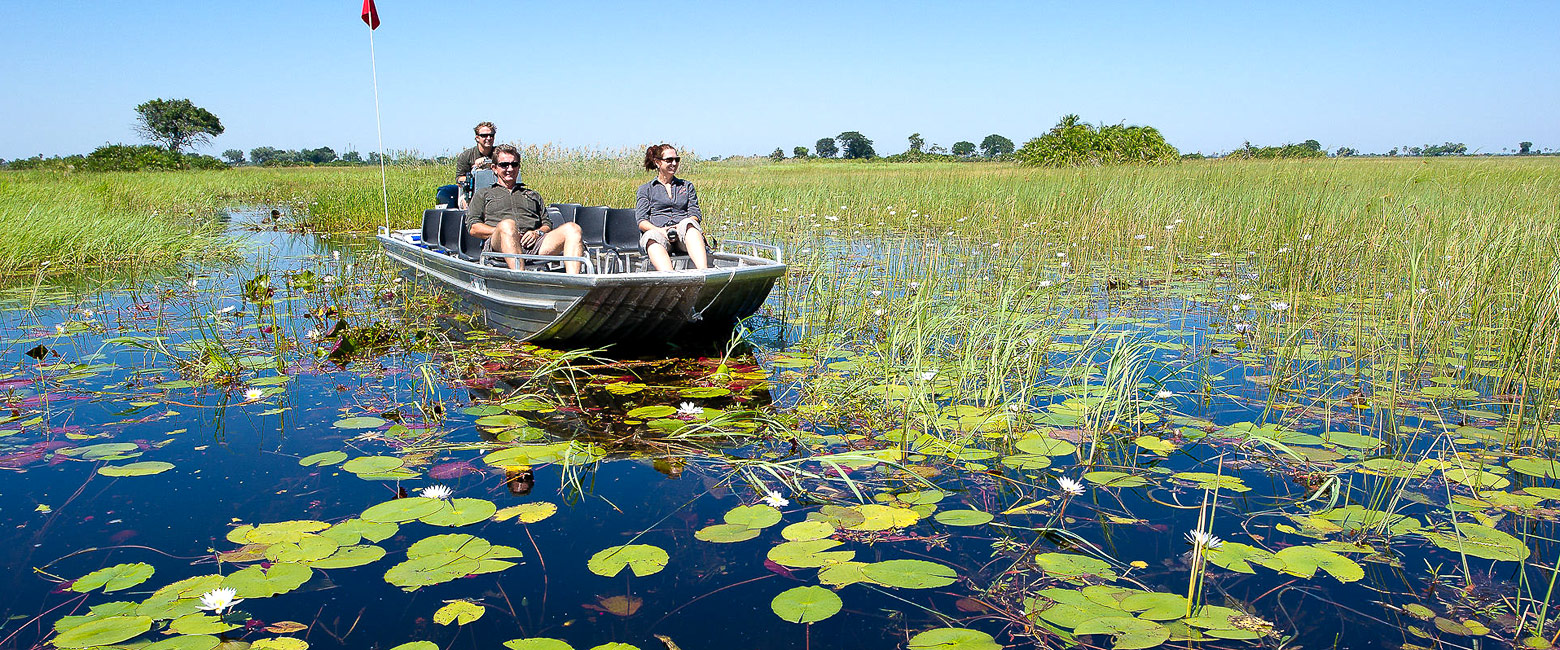 let us know your thoughts about Botswana and we will help you create the perfect safari 