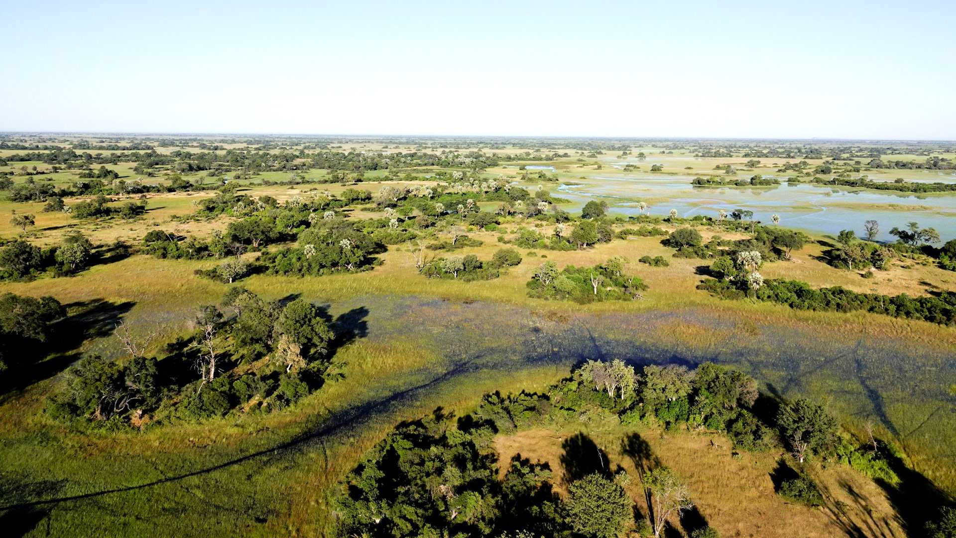 Okavango Jedibe