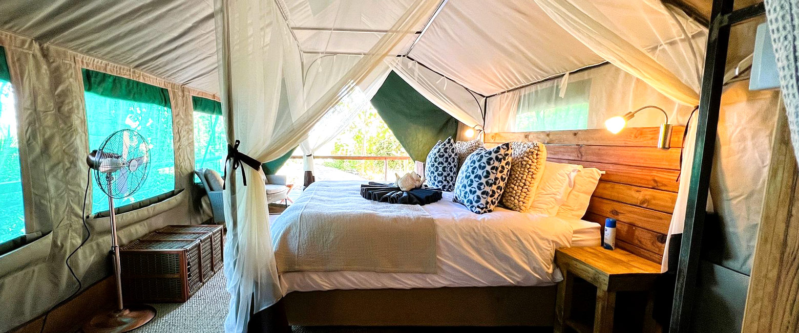 Is a well priced option in the fabulous Okavango Delta