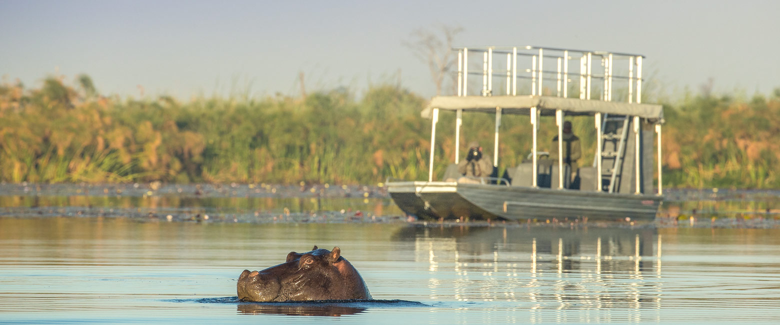 let us know your thoughts about Botswana and we will help you create the perfect safari