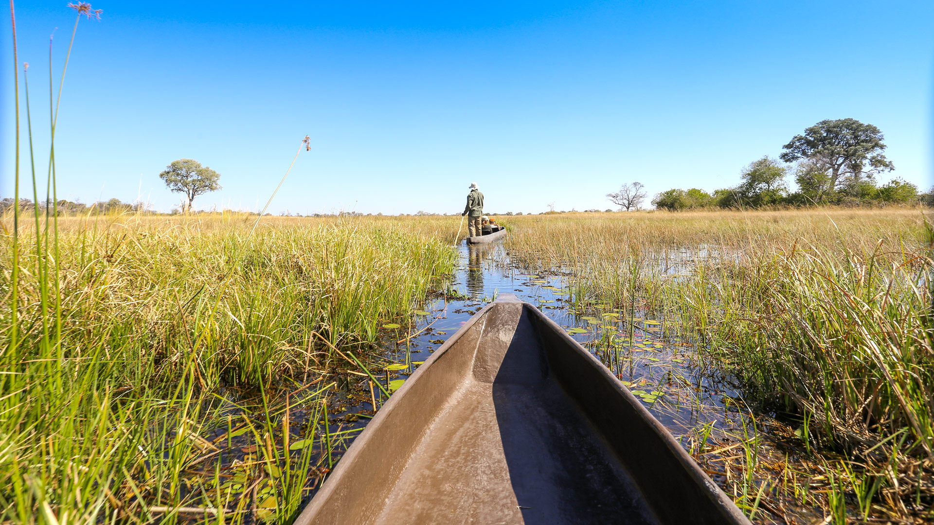 Travel to the Okavango Khwai River