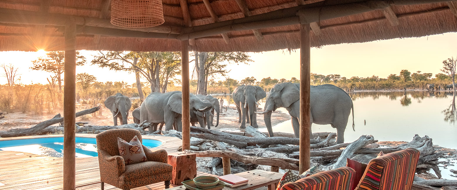 is a simple and well-priced camp in the Okavango Delta 