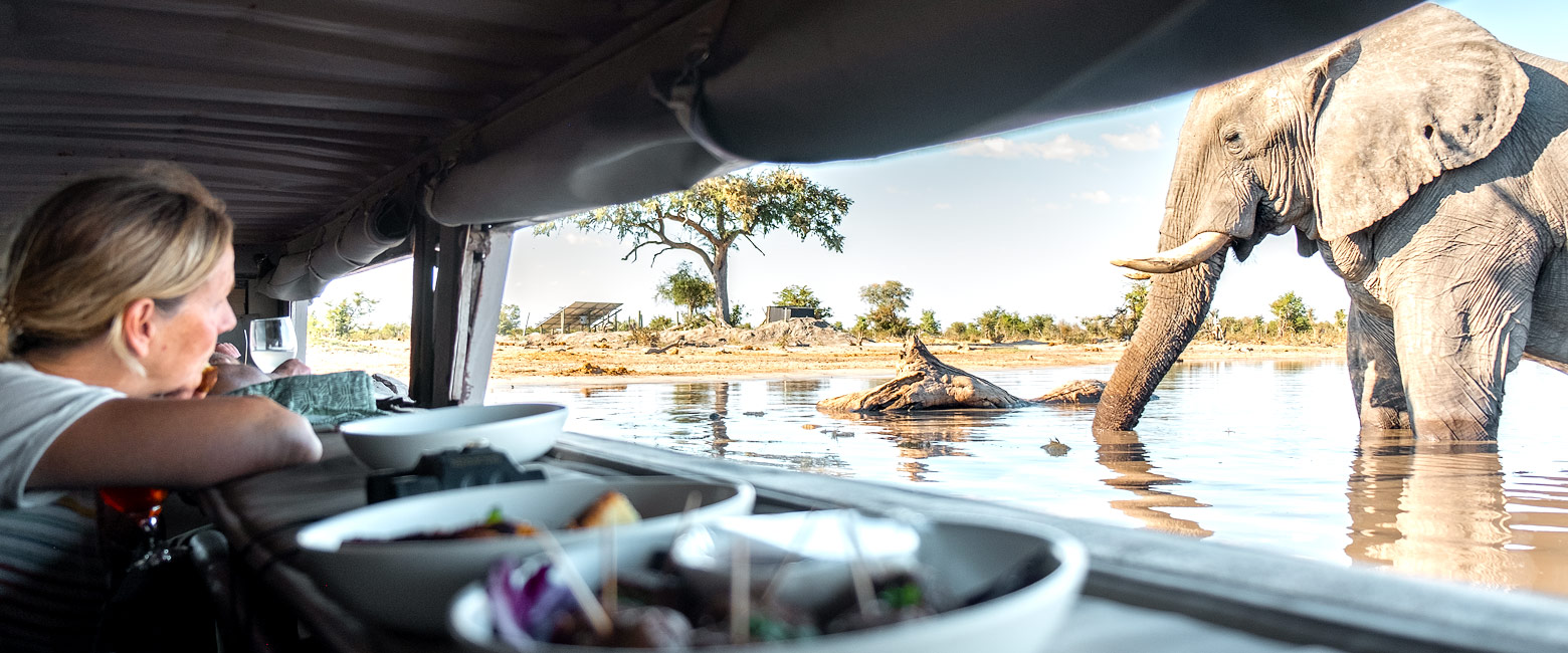 let us know your thoughts about Botswana and we will help you create the perfect safari 
