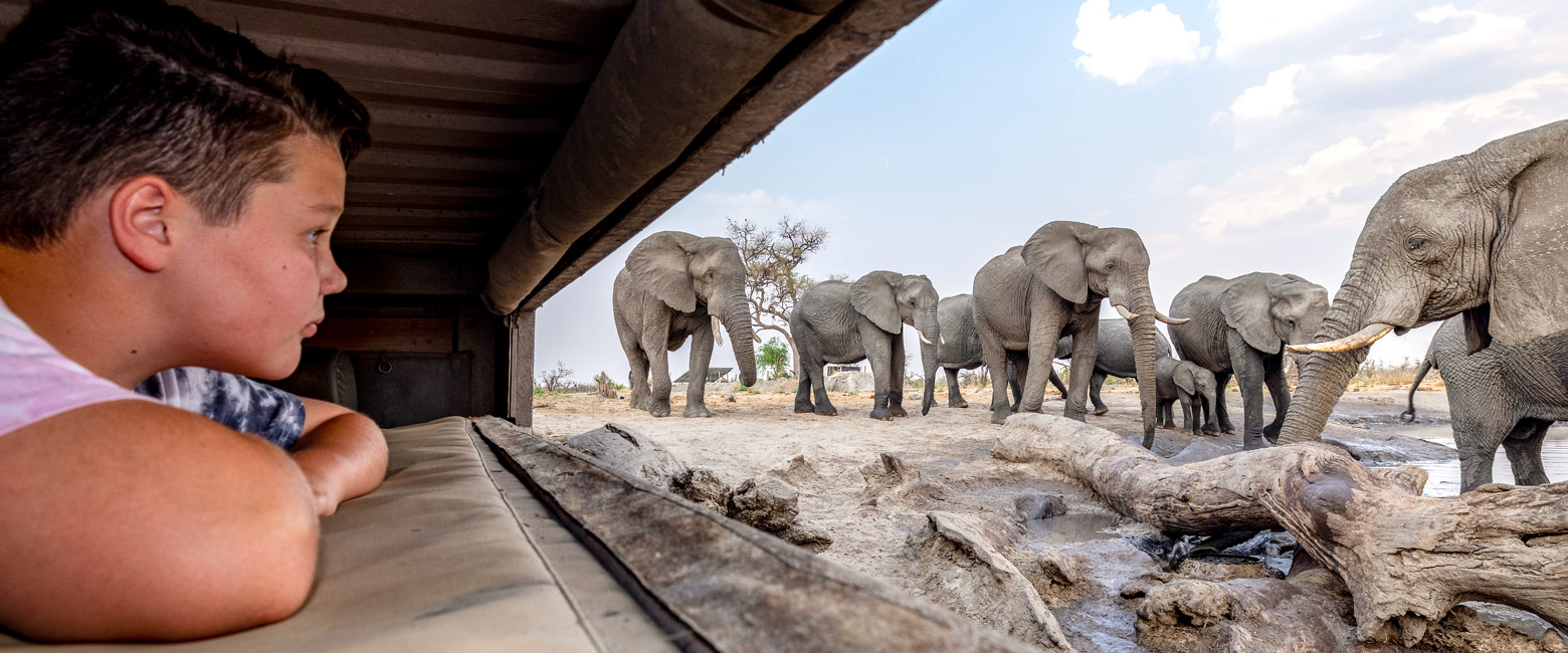 let us know your thoughts about Botswana and we will make sure to deliver the perfect safari 