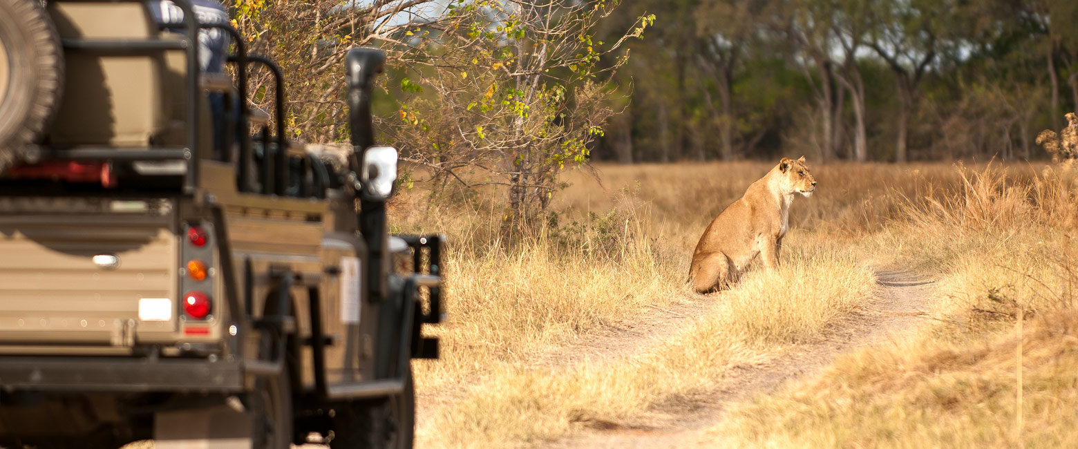 let us know your thoughts about Botswana and we will help you create the perfect safari 