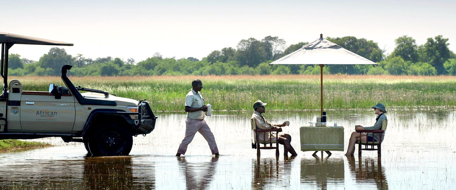 let us know your thoughts about Botswana and we will make sure to deliver the perfect safari
