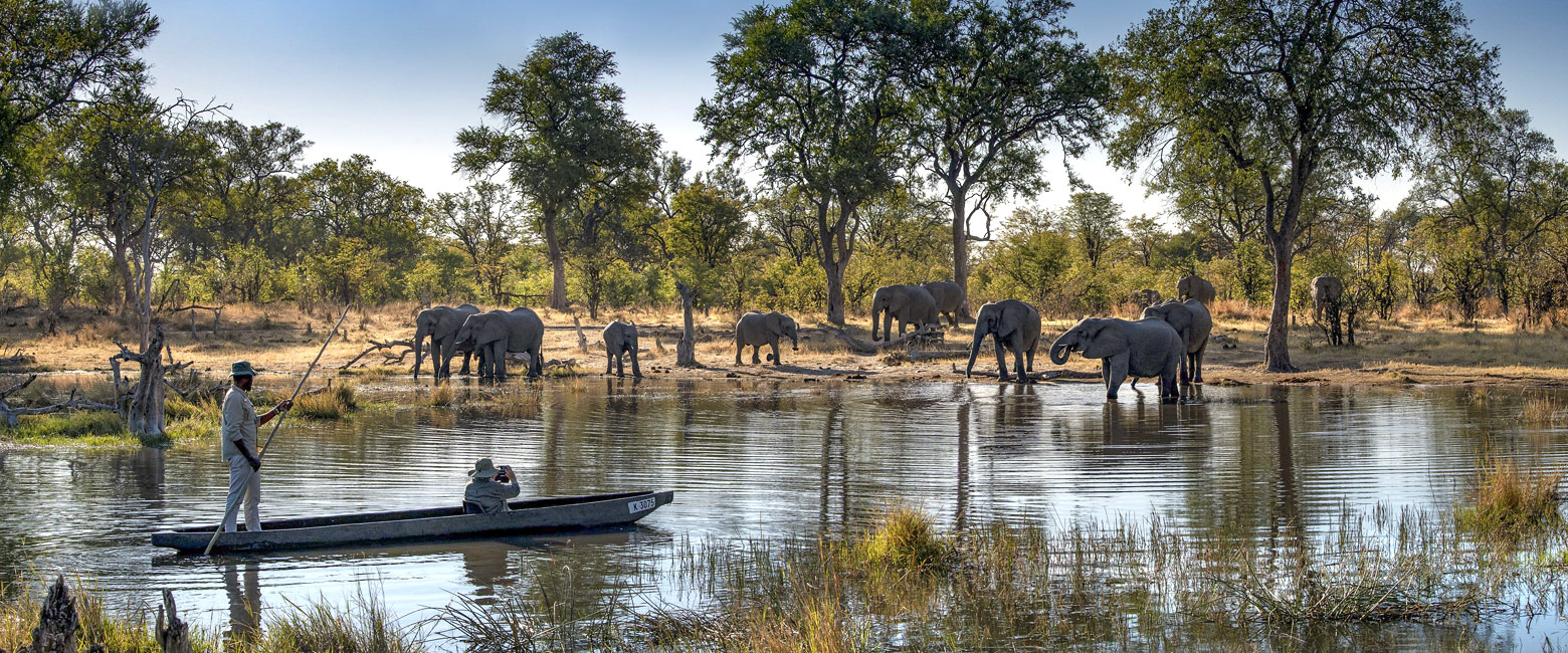 let us know your thoughts about Botswana and we will make sure to deliver the perfect safari 