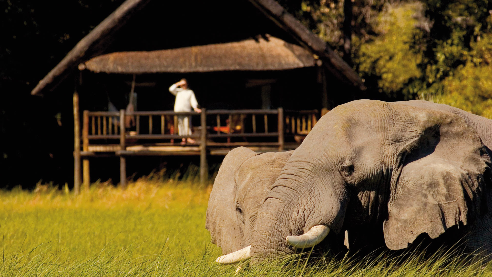 Khwai River Lodge