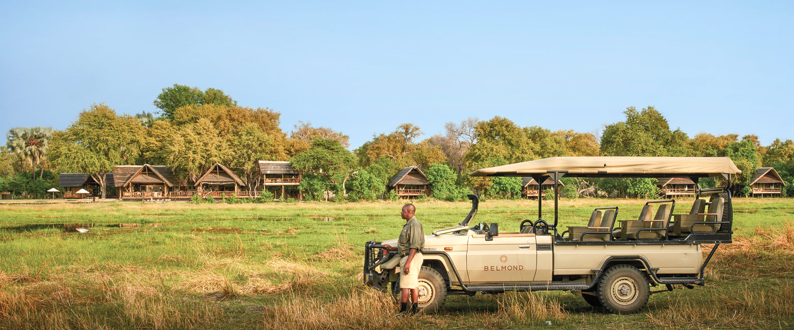 let us know your thoughts about Botswana and we will make sure to deliver the perfect safari