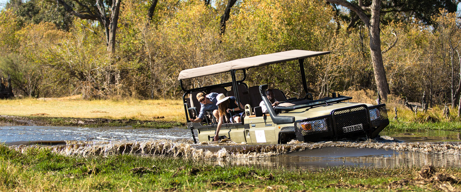 let us know your thoughts about Botswana and we will help you create the perfect safari