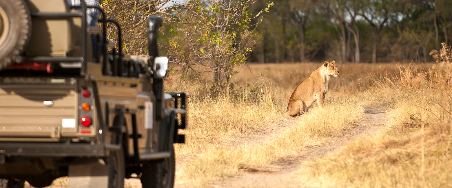 let us know your thoughts about Botswana and we will help you create the perfect safari 