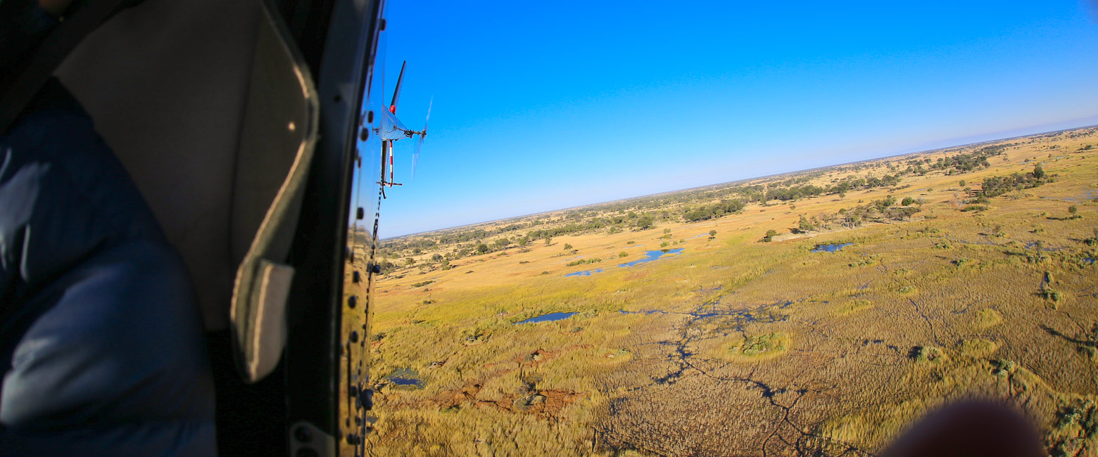 is renowned for superb safari guiding and remarkably strong predator action 
