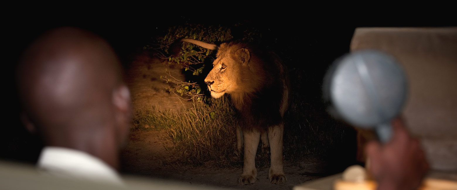 let us know your thoughts about Botswana and we will help you create the perfect safari