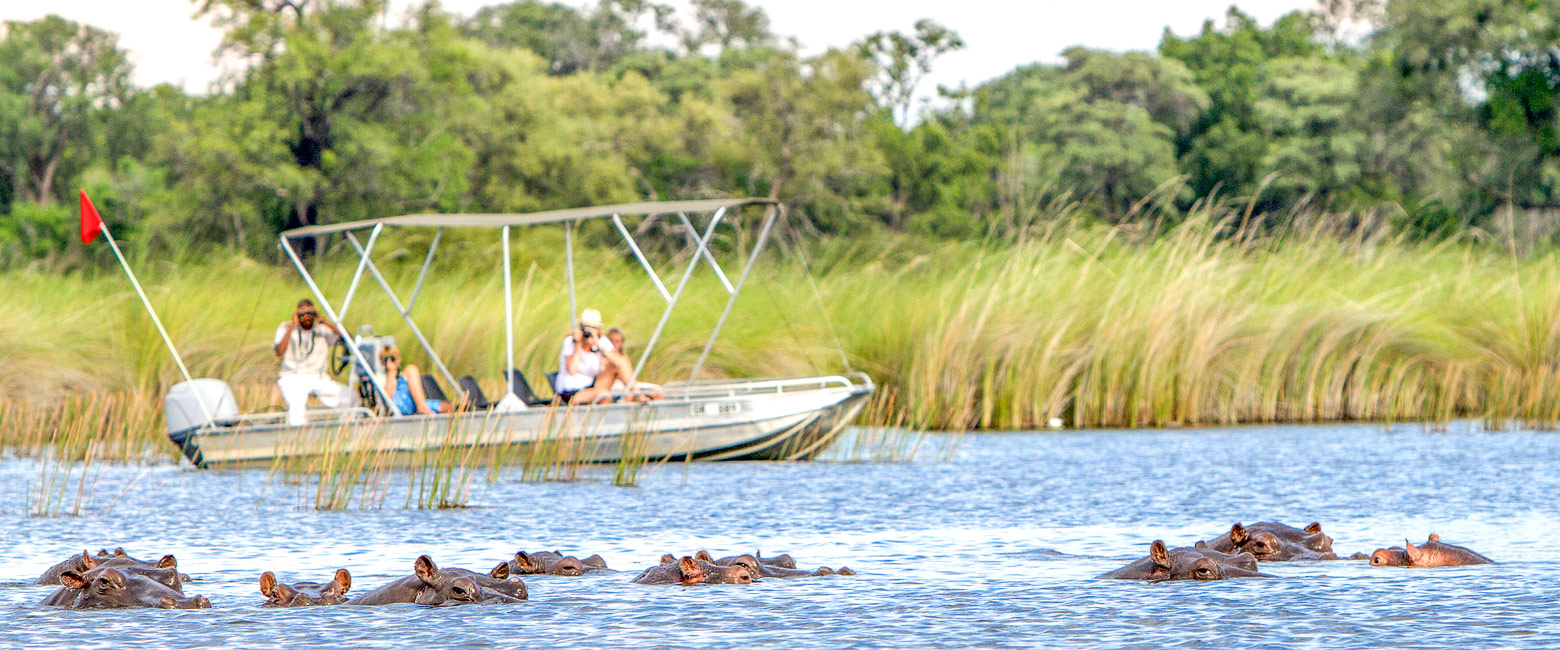 let us know your thoughts about Botswana and we will help you create the perfect safari 