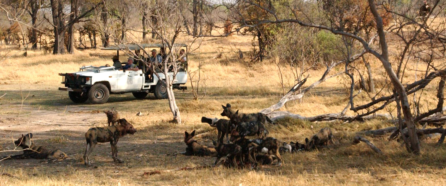 let us know your thoughts about Botswana and we will help you create the perfect safari