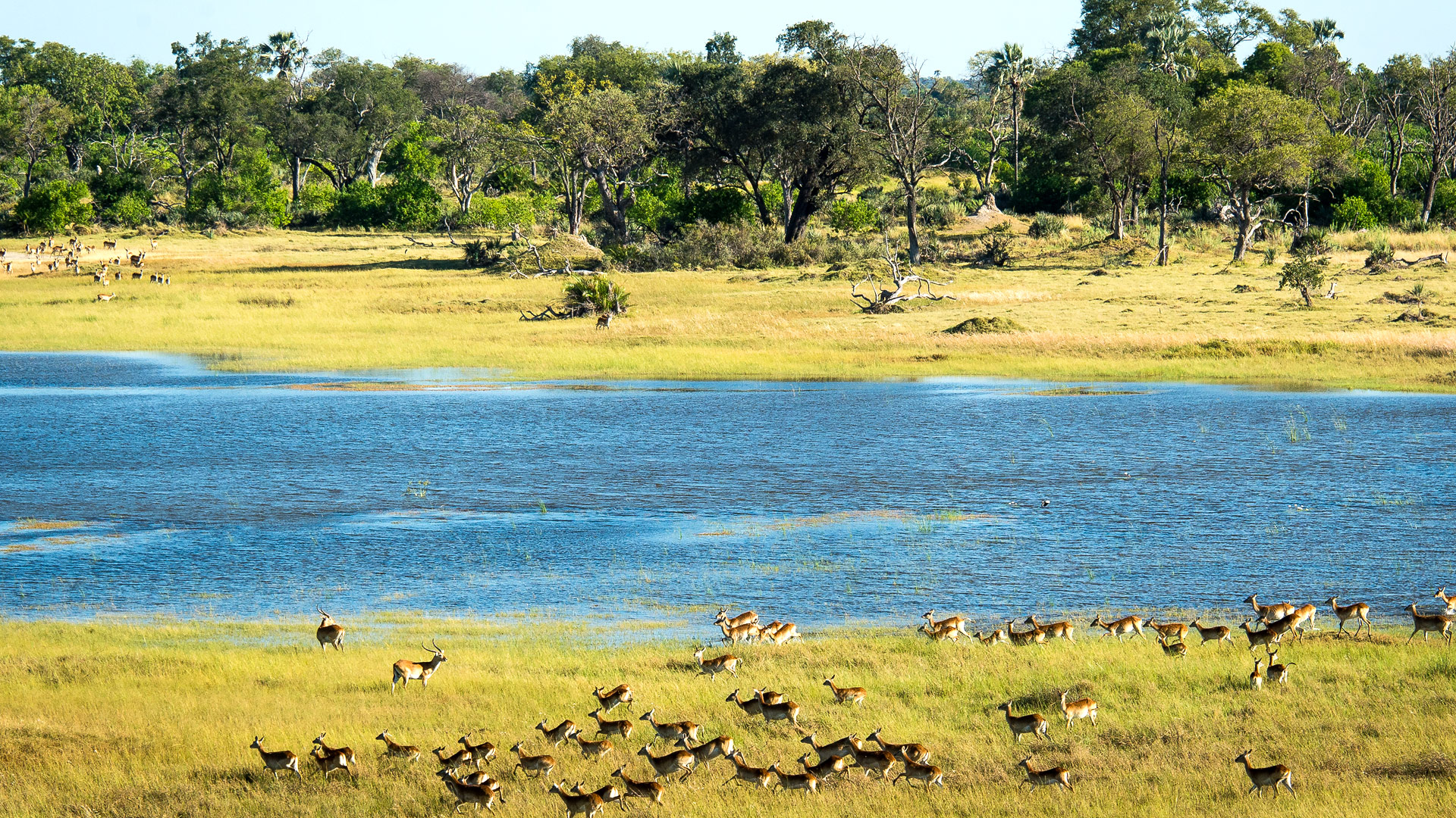Travel to Okavango Moremi Central