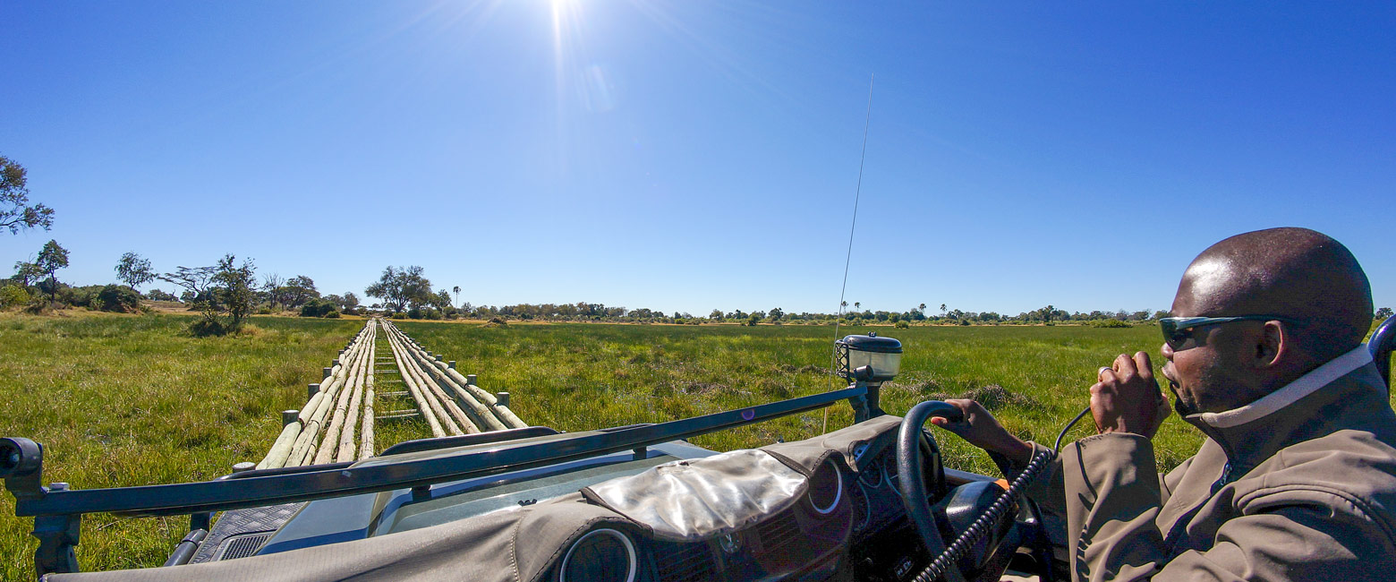 let us know your thoughts about Botswana and we will help you create the perfect safari