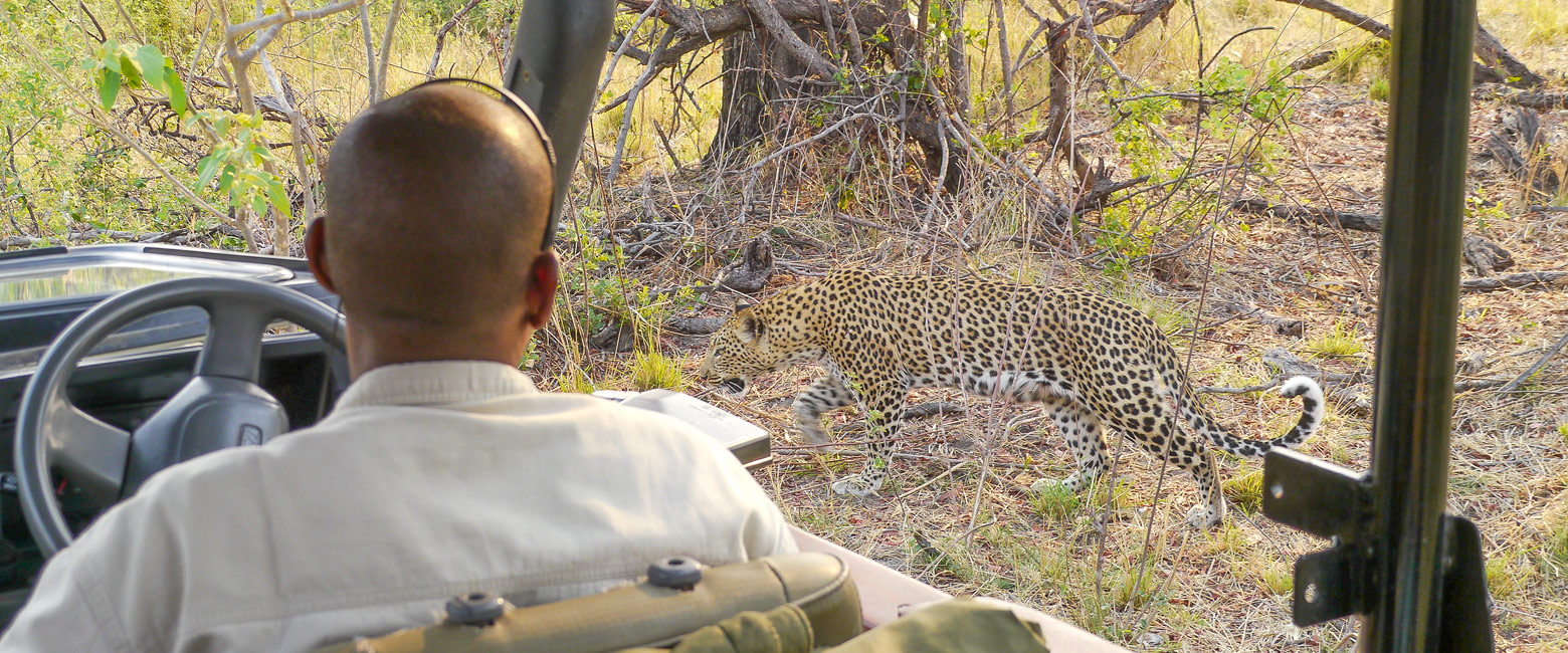 let us know your thoughts about Botswana and we will help you create the perfect safari