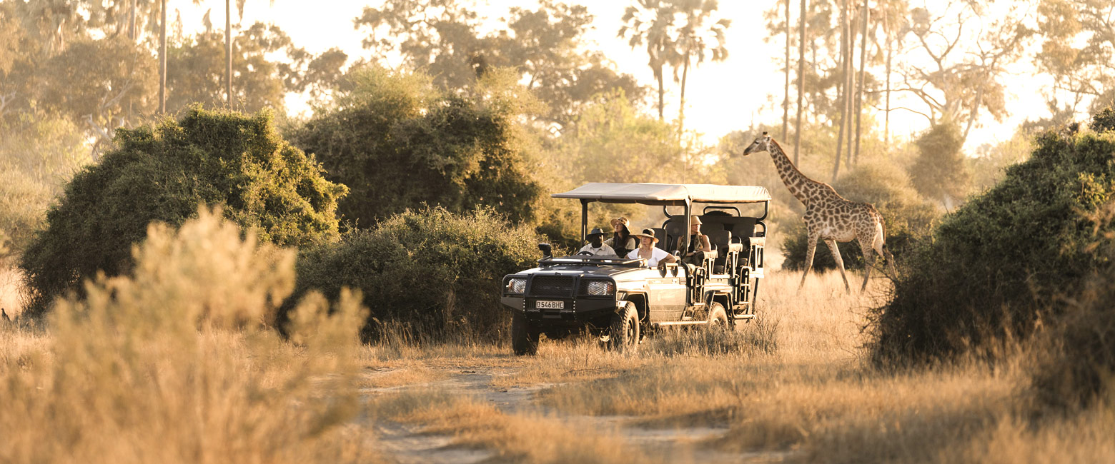 let us know your thoughts about Botswana and we will help you create the perfect safari