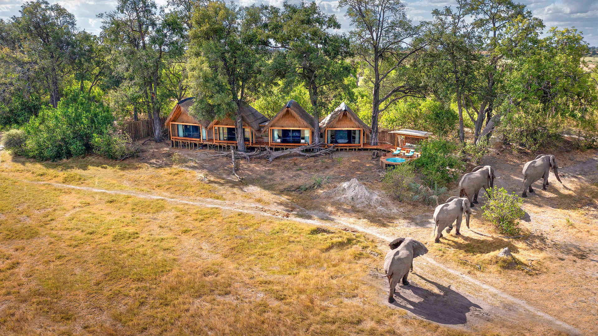 Tawana Camp