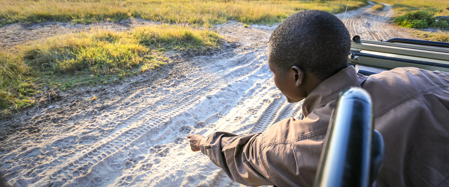 is a classic wetland safari area, with an unusual mix of camps