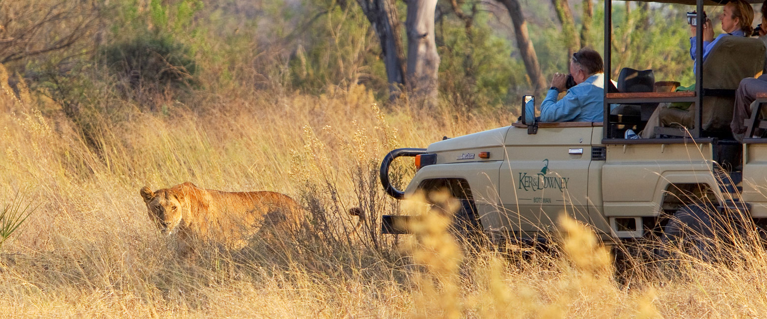 let us know your thoughts about Botswana and we will help you create the perfect safari