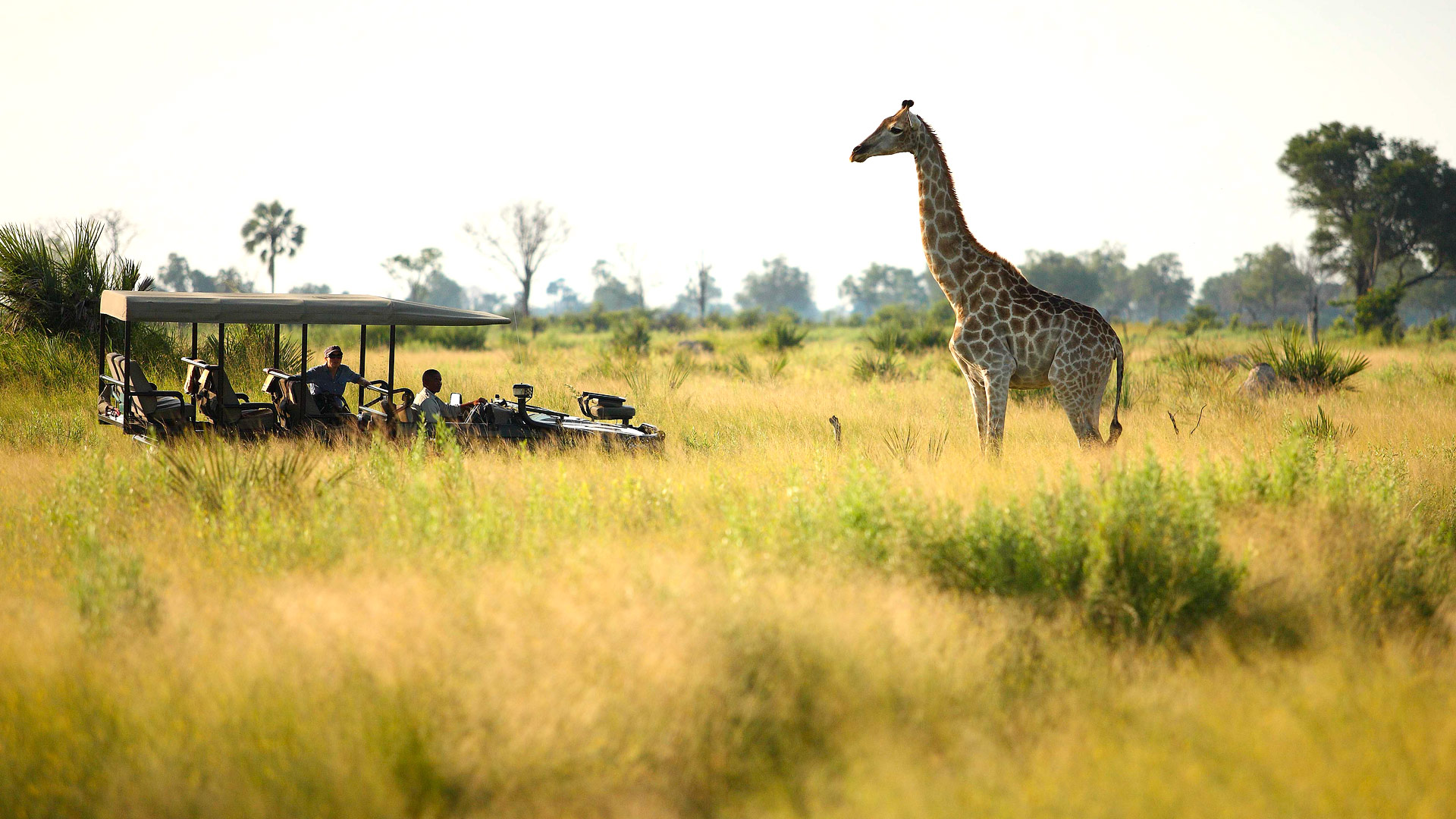 Nxabega Under Canvas