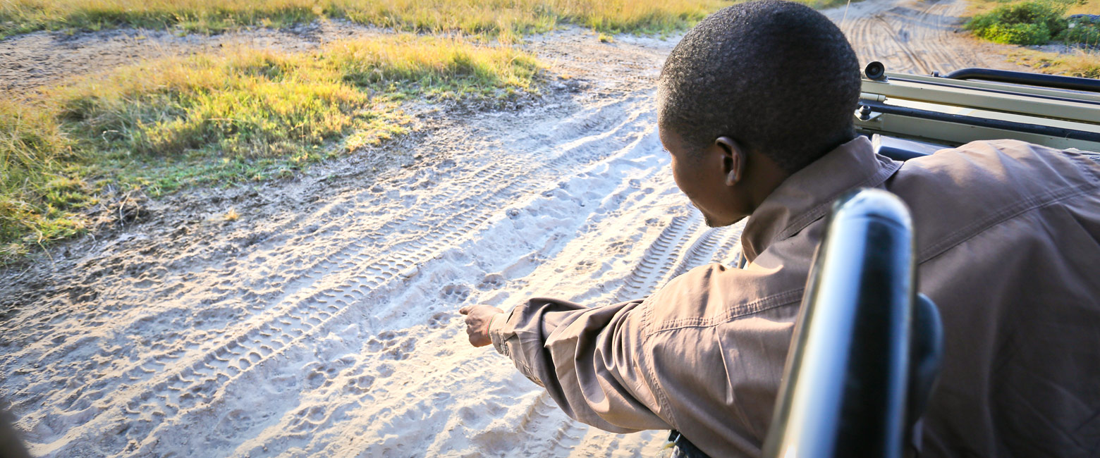 is a cool and well-priced property in the Okavango Delta