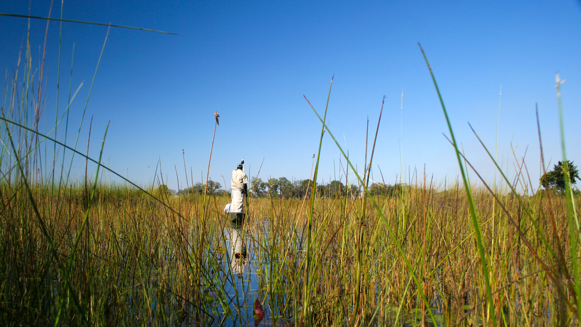 Okavango Panhandle
