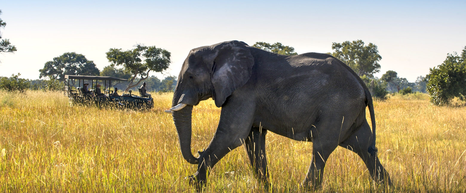 combine with safari in a drier concession during the flood season