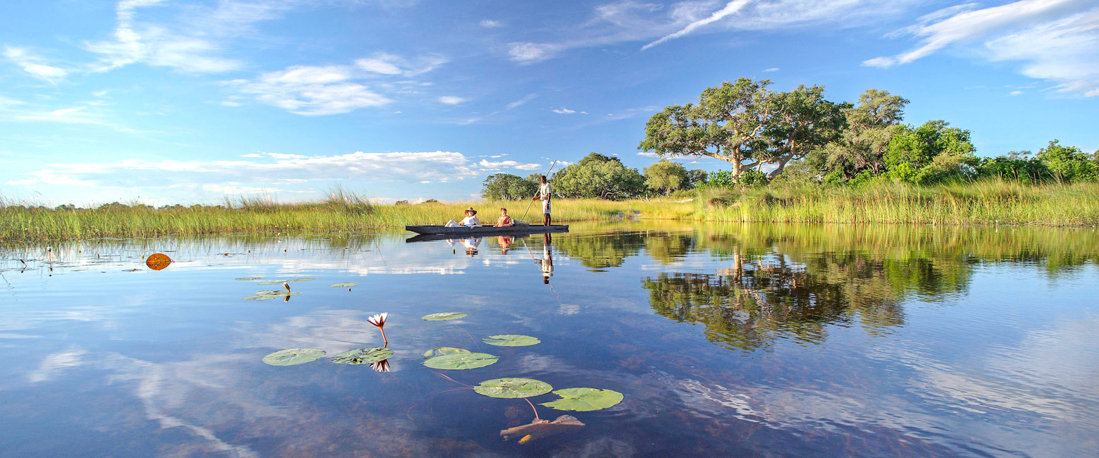 let us know your thoughts about Botswana and we will help you create the perfect safari 
