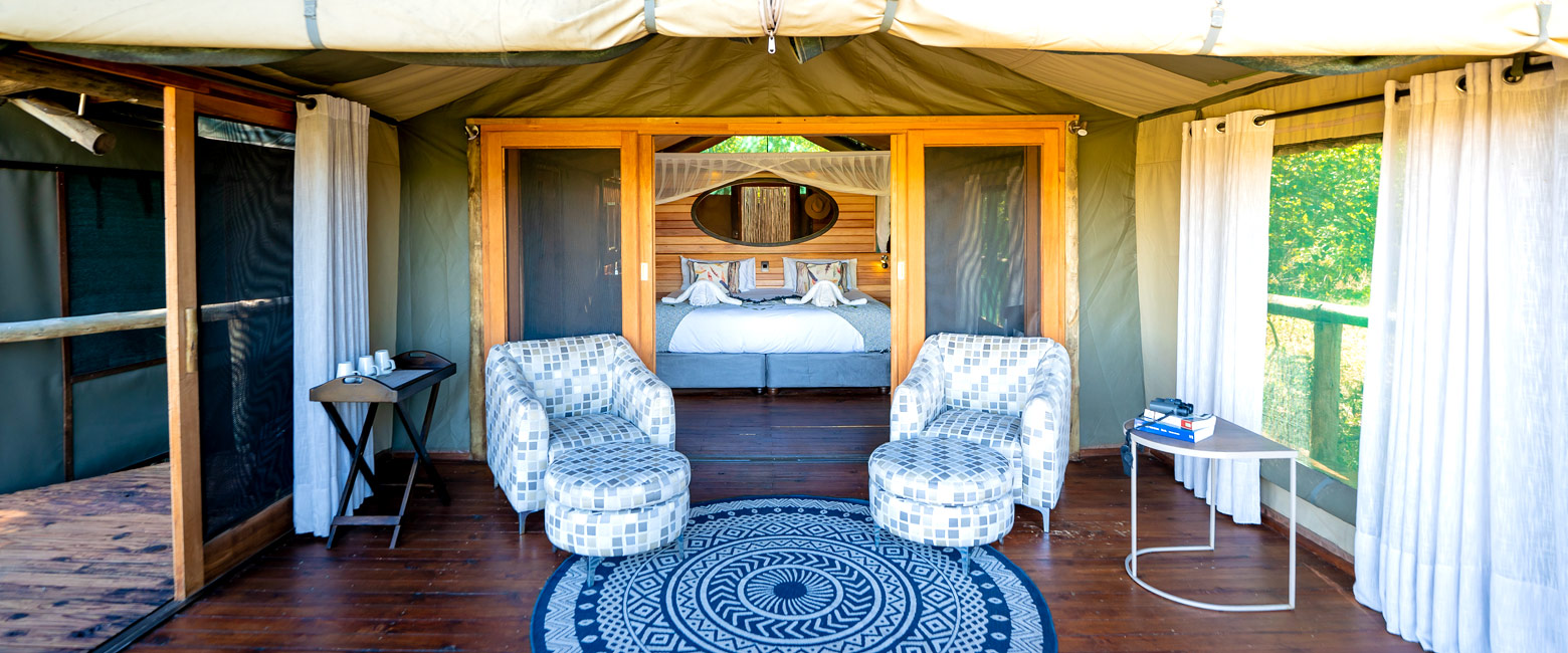is a relatively well-priced camp in the fabulous Okavango Delta 