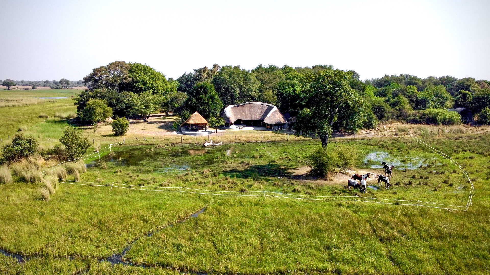Jumbo Junction